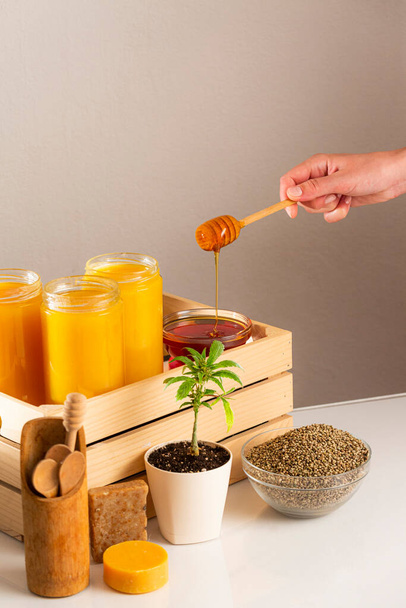 Three jars of CBD honey placed in a wooden crate. Around the crate are positioned a marijuana plant in a white flowerpot, a bowl with hemp seeds, wooden spoons for honey, CBD soap products, with an emphasis on hand that dripping honey into one glass  - Foto, Imagen