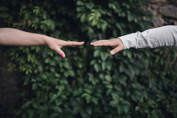 мужская и женская руки достигают друг друга на зеленом листовом фоне - Фото, изображение