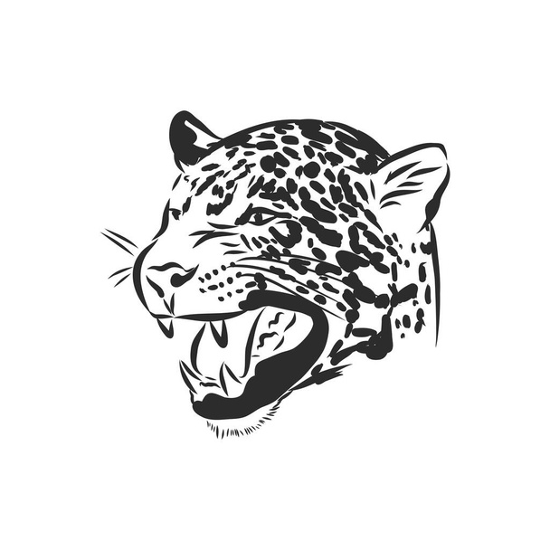 Jaguar. Handgetekende schets illustratie geïsoleerd op witte achtergrond, Jaguar dier, vector schets illustratie - Vector, afbeelding