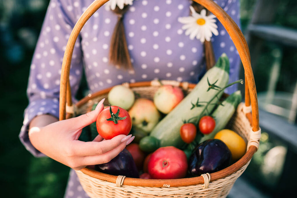 Basket of vegetables in the hands of a girl - Valokuva, kuva