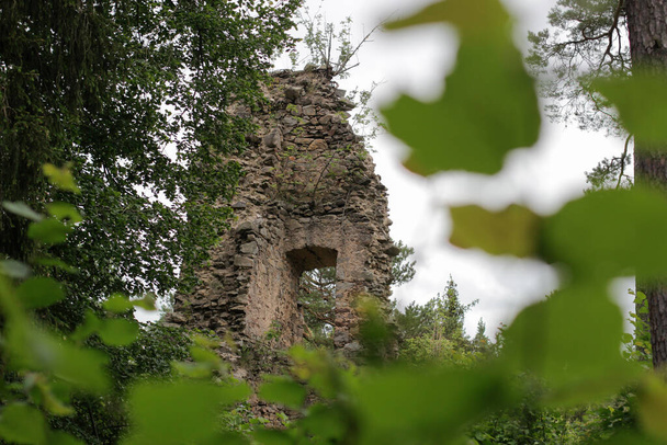 Ruinas del castillo con hojas verdes en primer plano - Foto, imagen