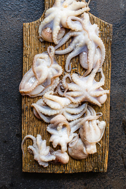 mustekala raaka mereneläviä tuore vauvan koko pöydällä palvelevat koko ylhäältä näkymä kopioi tilaa tekstin ruokavalio pescetarian ruoka tausta maalaismainen - Valokuva, kuva