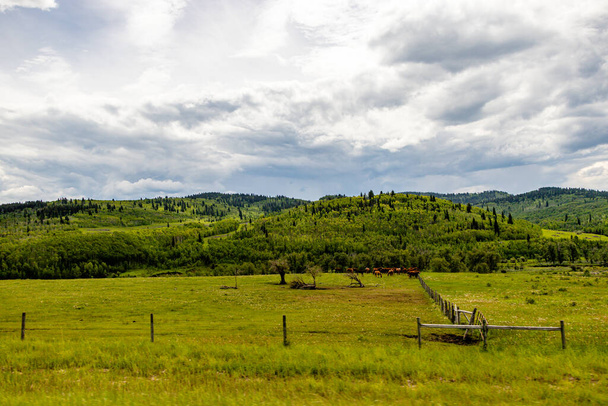 Groene velden, vijvers en overgoten lucht op een rit door het land. MD van Willow Creek, Alberta, Canada - Foto, afbeelding