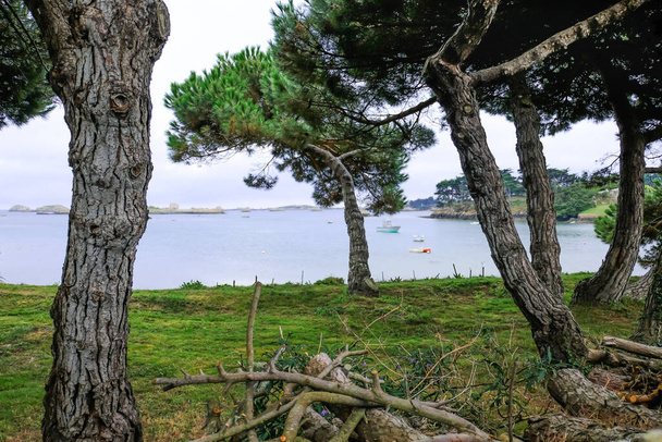Paisagem na pitoresca ilha de Ile de Brehat no departamento de Cotes-dArmor da Bretanha, França - Foto, Imagem