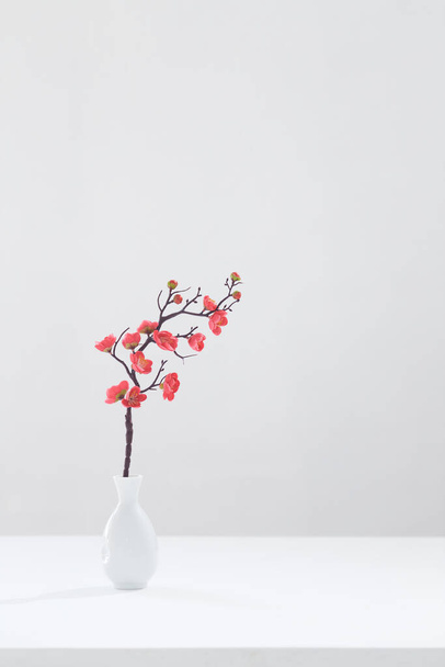 flowering pink cherry branch in white vase on white background - Photo, Image