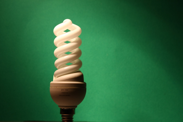 Energy saving light bulb - Photo, Image