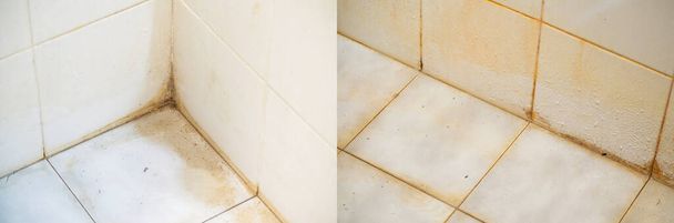 Manchas en las articulaciones, esquinas y superficies de azulejos del baño. Fuente del patógeno. - Foto, Imagen