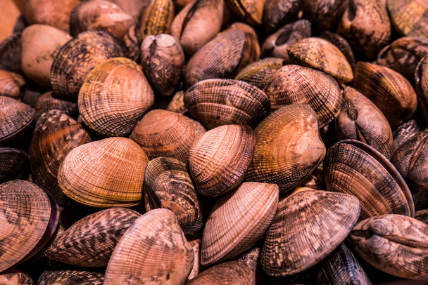 Πλήρες πλαίσιο του cockles σε μια αγορά θαλασσινών. - Φωτογραφία, εικόνα