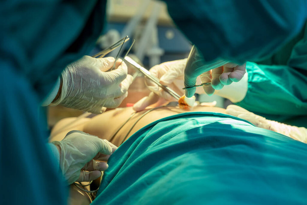 Ekip cerrahı ameliyathanede bir hasta üzerinde çalışıyor.. - Fotoğraf, Görsel