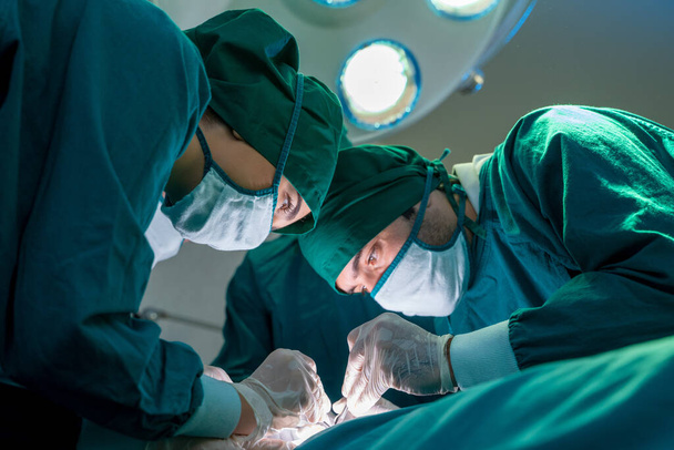 Ekip cerrahı ameliyathanede bir hasta üzerinde çalışıyor.. - Fotoğraf, Görsel