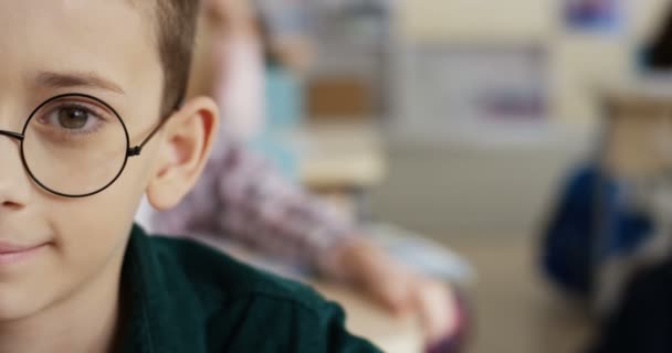 Close-up van het halve gezicht van de schattige blanke kleine schooljongen met een bril die glimlacht naar de camera terwijl hij tijdens de les recht en zittend naar het klaslokaal kijkt. Portret. - Video