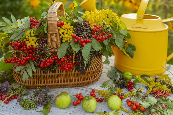 Herbstfrüchte und Blumen auf einem Holztisch im Garten. - Foto, Bild