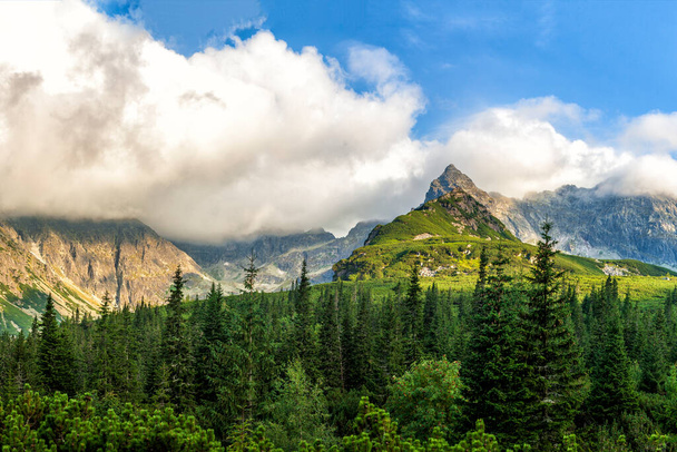 Polish Tatra mountains summer landscape with blue sky and white clouds. HDR image - 写真・画像