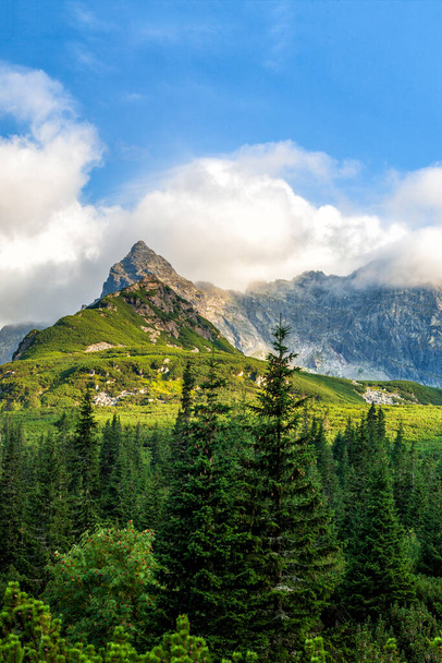 Polonya Tatra dağları yaz manzarası mavi gökyüzü ve beyaz bulutlar. HDR resmi - Fotoğraf, Görsel