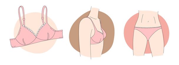 Women underwear, wearing a bra, panties, lingerie. Vector illustration doodle in thin line art sketch style icons - Вектор, зображення