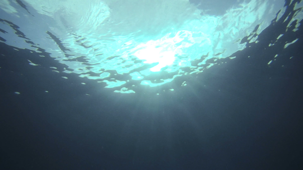 Okyanusun derinliklerinden gökyüzünün sualtı videosu. - Video, Çekim