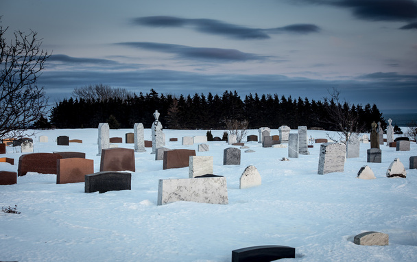 冬の墓地 - 写真・画像