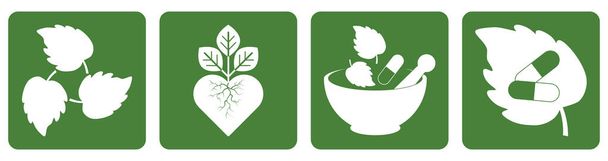 La medicina herbal establece iconos. Stencil eco símbolos. Ilustración de stock vectorial. EPS 10 - Vector, Imagen
