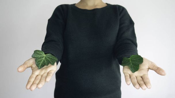 A woman in a green sweater with a green creeper leaf in her hands.  - Foto, immagini