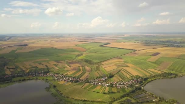 Veduta aerea di un lago circondato da campi agricoli gialli e piccole case di villaggio in zona rurale autunno. - Filmati, video