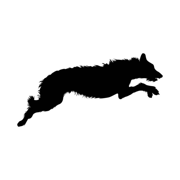 Jumping Irish Wolfhound On a Side View Silhouette Found In Ireland Добре використовувати для написання книги Елемента, книги тварин і тваринного контенту - Вектор, зображення