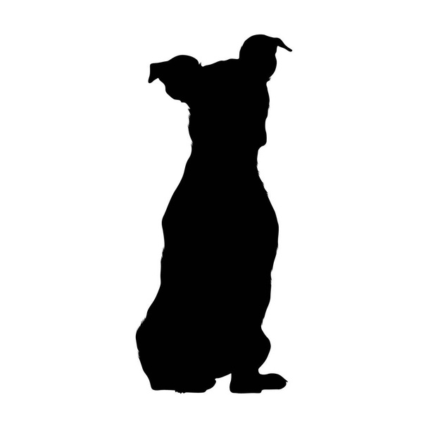 Sitting Jack Russel Terrier Dog On a Front View Silhouette Found In Germany. Good To Use For Element Print Book, Animal Book and Animal Content - Vector, Image