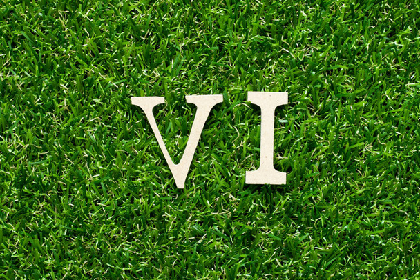 Γράμμα ξύλινου αλφαβήτου στη λέξη VI (συντομογραφία για τον επενδυτή αξίας) σε φόντο πράσινου χόρτου - Φωτογραφία, εικόνα