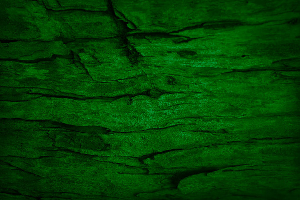 Toned old wood texture. Moss on a wooden surface. Dark green wooden grunge background. - Photo, Image