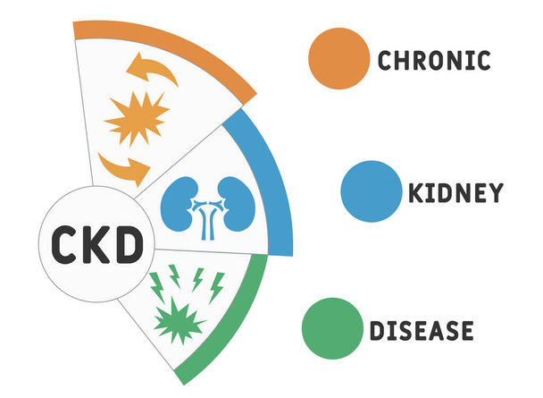 CKD - Chronic Kidney Disease acronym, medical concept background. vector illustration concept with keywords and icons. lettering illustration with icons for web banner, flyer, landing page - Vector, Image