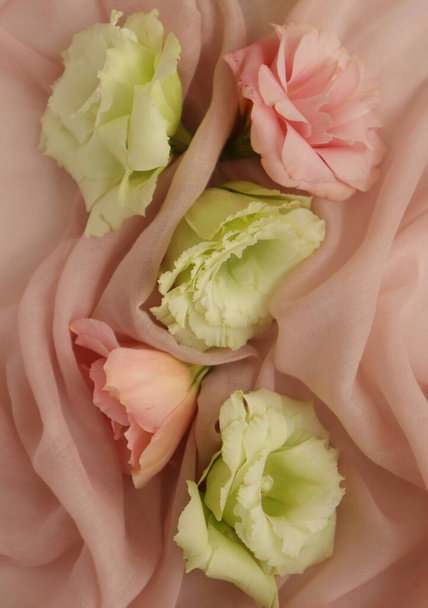 beautiful floral background, close up. Studio shot - Photo, Image