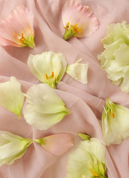 beautiful floral background, close up. Studio shot - Photo, Image