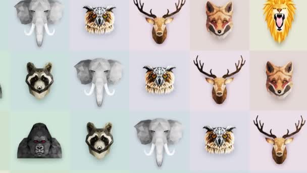 Collection of different animals. Zoo symbol. Low polygon icons. Lion, Gorilla, Zebra, Raccoon, Fox, Elephant, Deer, Owl. Geometric loop animation set. - Footage, Video