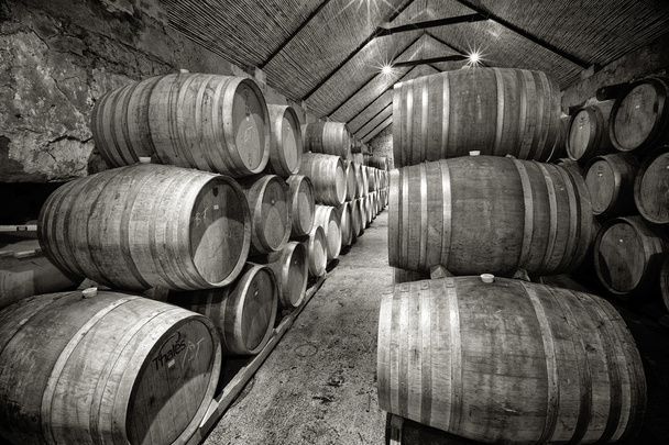 Wine Cellar - Photo, Image