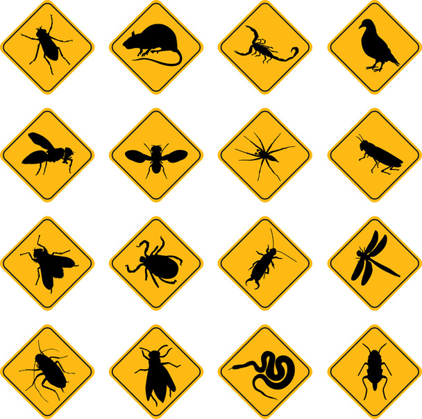 Insects - Vector, Image