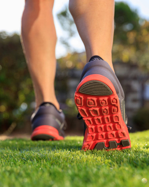 女性アスリートは足を草の上を走って、靴の上で閉じます。女性の屋外フィットネスジョギングやトレーニングのコンセプト,健康的なライフスタイル - 写真・画像