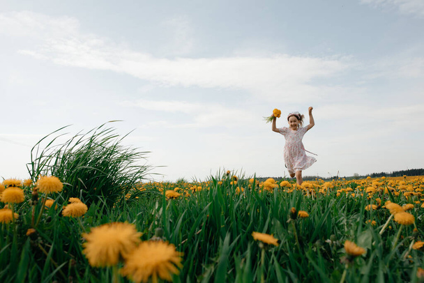 A little girl in a white dress collects dandelions on a summer day in the field. Carefree summer and childhood. The concept of happiness and positive. - Fotó, kép