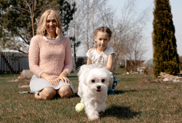 Een klein meisje en haar moeder zitten op de travet, spelen met een kleine witte hond, tegen de achtergrond van de landelijke tuin. Zorgeloze jeugd. Huisdierenzorg concept. Zomer zonnige dag. - Foto, afbeelding