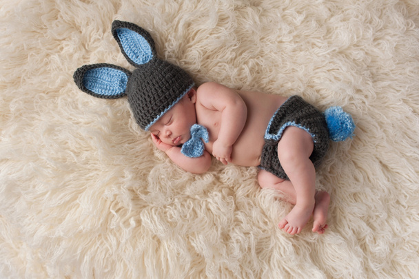 Bebé recién nacido en traje de conejo conejo
 - Foto, imagen