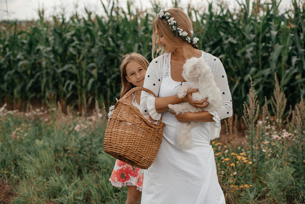 A young mother in a white dress with a basket and a puppy in her arms with her daughter posing against the backdrop of a corn field. Carefree childhood. Happiness and fun concept. Family photo. - Foto, afbeelding