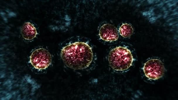 顕微鏡下のウイルスや細菌。コロナウイルス, COVID-19,インフルエンザ, SARSの, MERS.微生物学の概念。コロナウイルスはパンデミックの危険性を引き起こす。ループアニメーション. - 映像、動画
