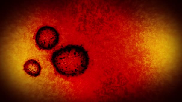 Virus ja bakteerit mikroskoopin alla. Coronavirus, COVID-19, influenssa, SARS, MERS. Mikrobiologian käsite. Corona-virukset aiheuttavat pandemian vaaran. Silmukkaanimaatio. - Materiaali, video