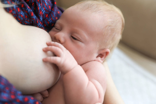 Woman breast feeding her little baby at home, closeup - Fotografie, Obrázek