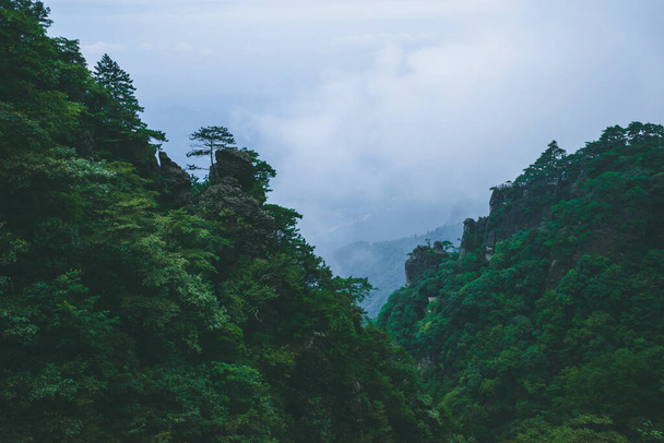 Mountain landscape covered in clouds and fog on top of Wugong Mountain in Jiangxi, China - Photo, Image