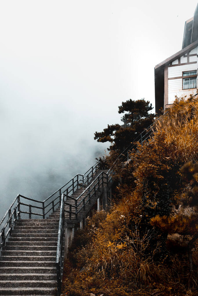 Стежка і пейзаж покриті туманом на вершині гори Вугонг у Цзянсі (Китай). - Фото, зображення