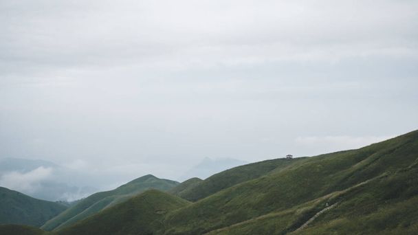 Гірський ландшафт, вкритий хмарами на горі Вугун у Цзянсі (Китай). - Фото, зображення