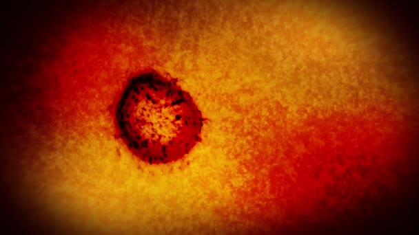 Virus ja bakteerit mikroskoopin alla. Coronavirus, COVID-19, influenssa, SARS, MERS. Mikrobiologian käsite. Corona-virukset aiheuttavat pandemian vaaran. Silmukkaanimaatio. - Materiaali, video