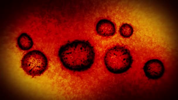 Virus und Bakterien unter der Lupe. Coronavirus, COVID-19, Grippe, SARS, MERS. Mikrobiologisches Konzept. Coronaviren verursachen Pandemiegefahr. Schleifenanimation. - Filmmaterial, Video