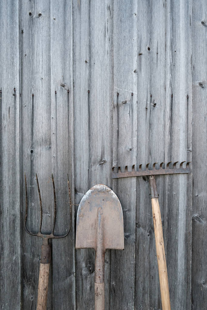 Gardening tools, shovel, rake and pitchfork stand against an old wooden barn wall, in a village courtyard. Copy space. - Foto, imagen