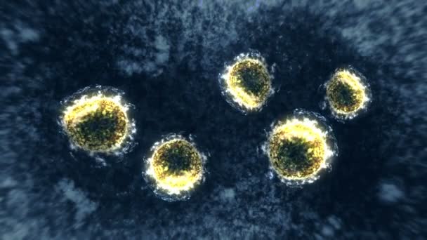 Vírus és baktérium a mikroszkóp alatt. Coronavirus, COVID-19, Influenza, SARS, MERS. Mikrobiológiai fogalom. A corona vírusok a világjárvány veszélyét okozzák. Hurokanimáció. - Felvétel, videó