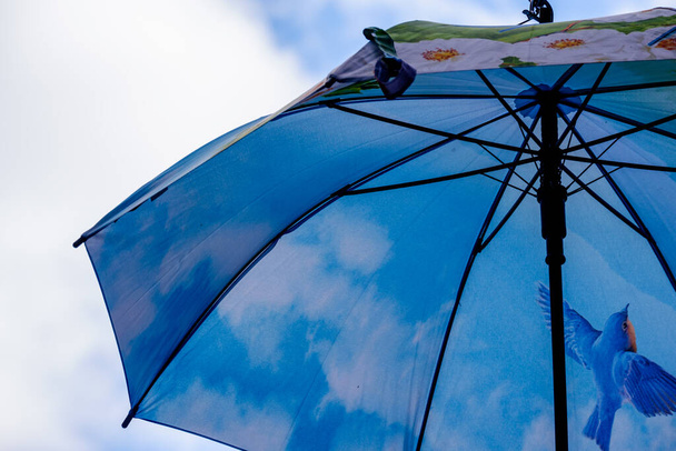 York UK 10 września 2020 Wystawa parasoli w Coppergate Shopping Centre, York, North Yorkshire, Anglia - Zdjęcie, obraz
